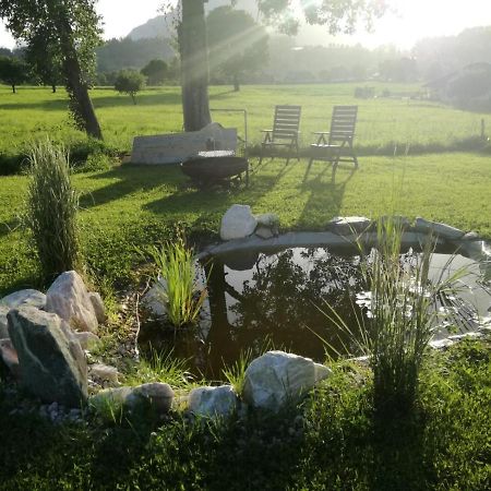 Bed and Breakfast Haus Elisabeth Aigen im Ennstal Zewnętrze zdjęcie