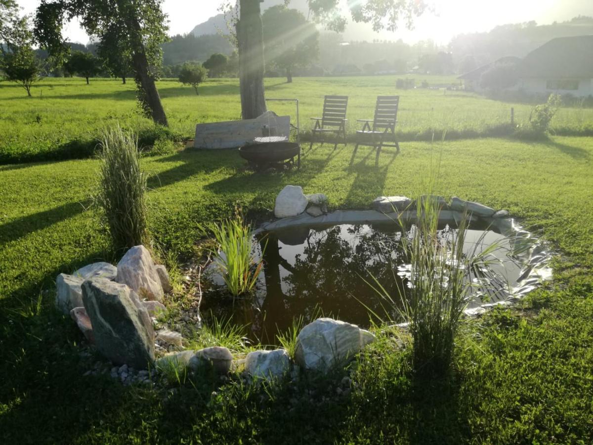 Bed and Breakfast Haus Elisabeth Aigen im Ennstal Zewnętrze zdjęcie